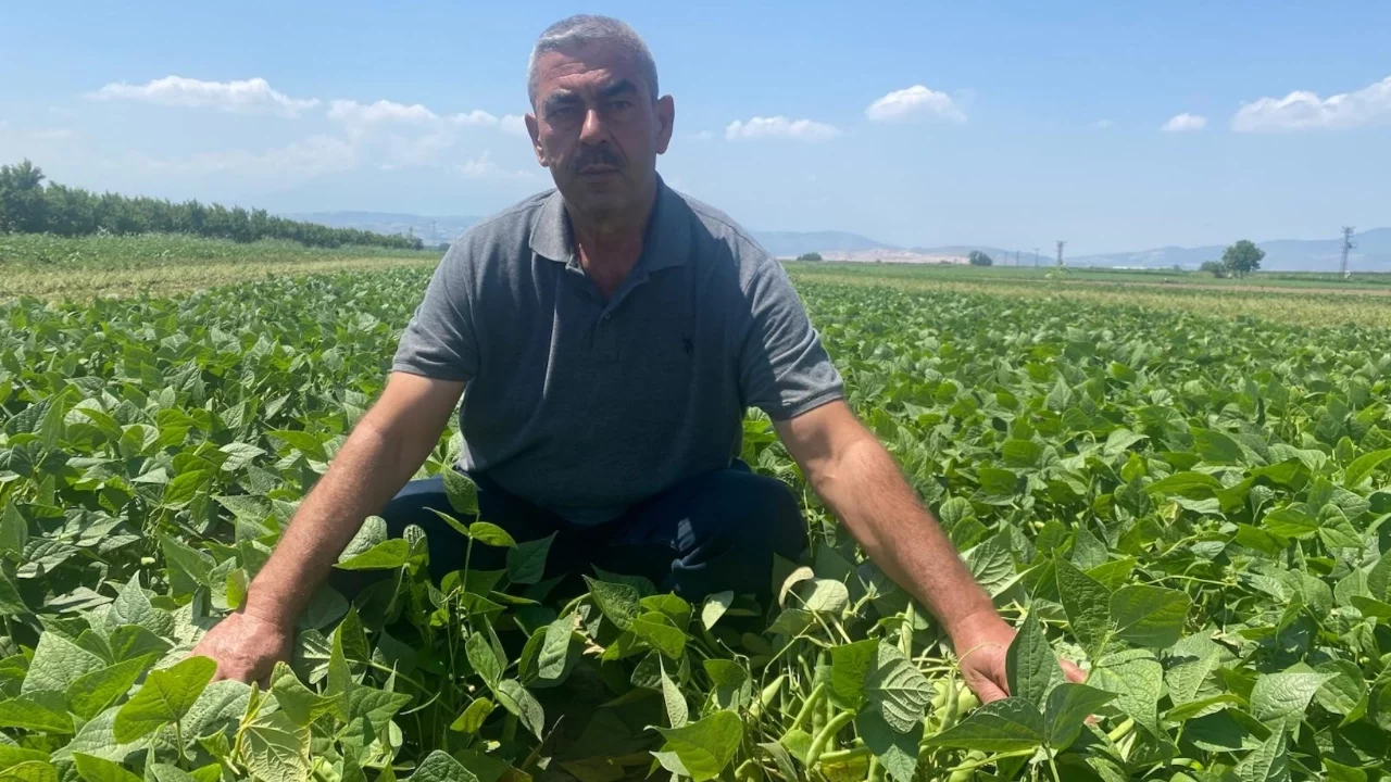 Bursa'da kooperatif modeli üreticiye nefes aldırdı