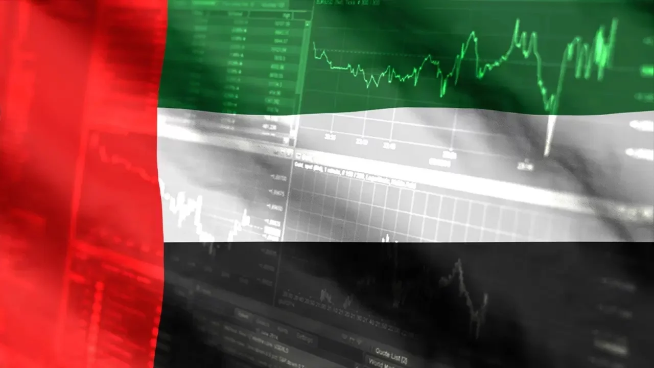 Yarım asırlık Türk şirketi Dubaililere satılıyor