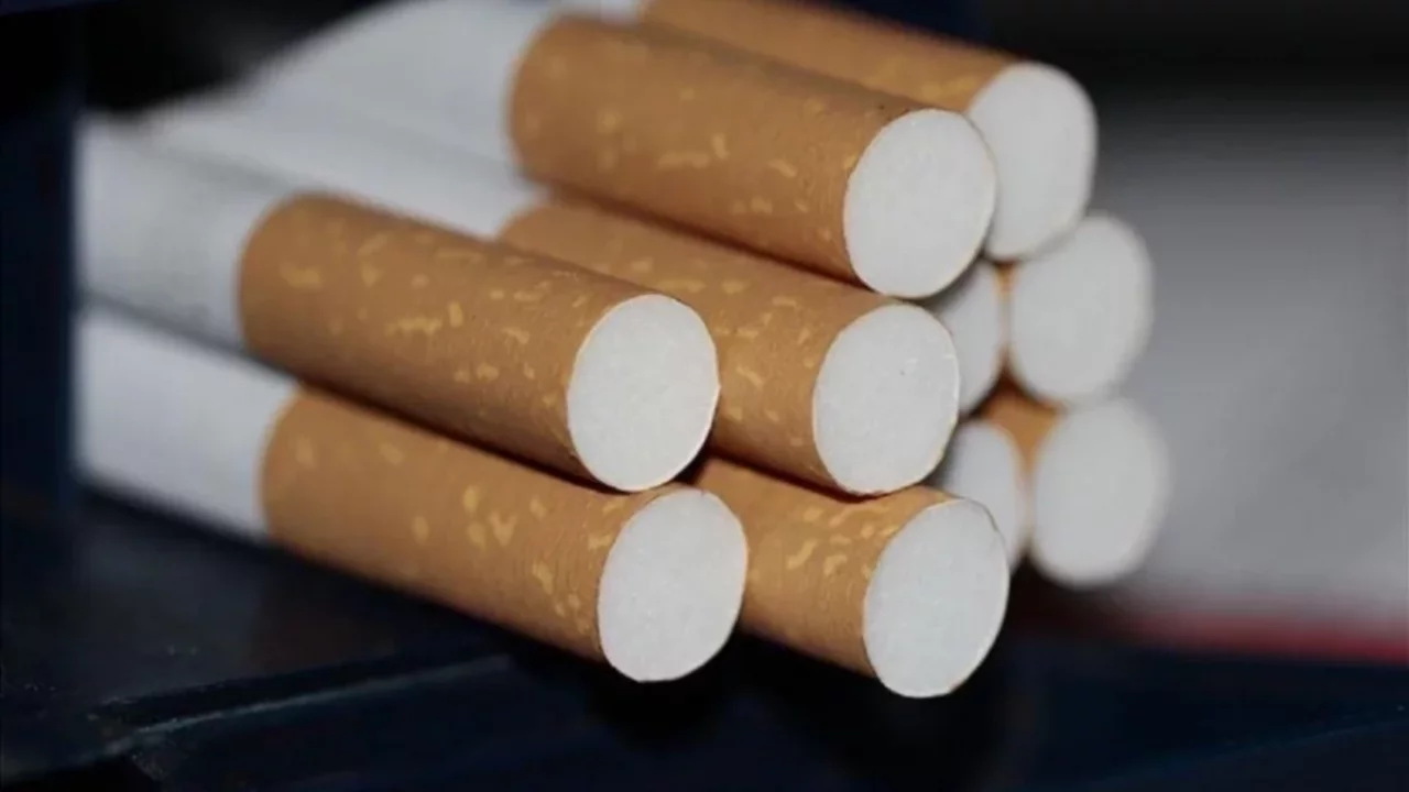 Philip Morris grubuna sigara zammı