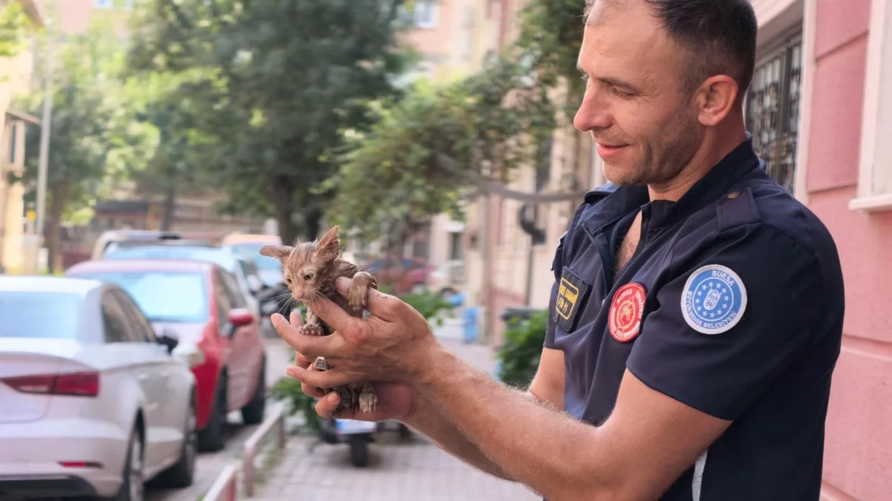 Bursa'da yağmur suyu giderine sıkışan kediyi itfaiye kurtardı