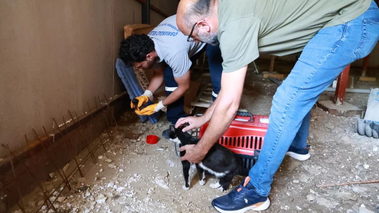 Osmangazi'de kaçak bina yıkımında hayat kurtaran müdahale