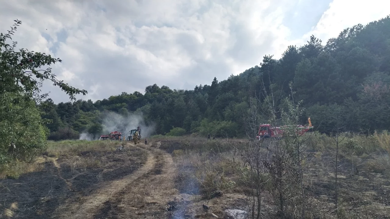 Bursa İnegöl'de orman yangını