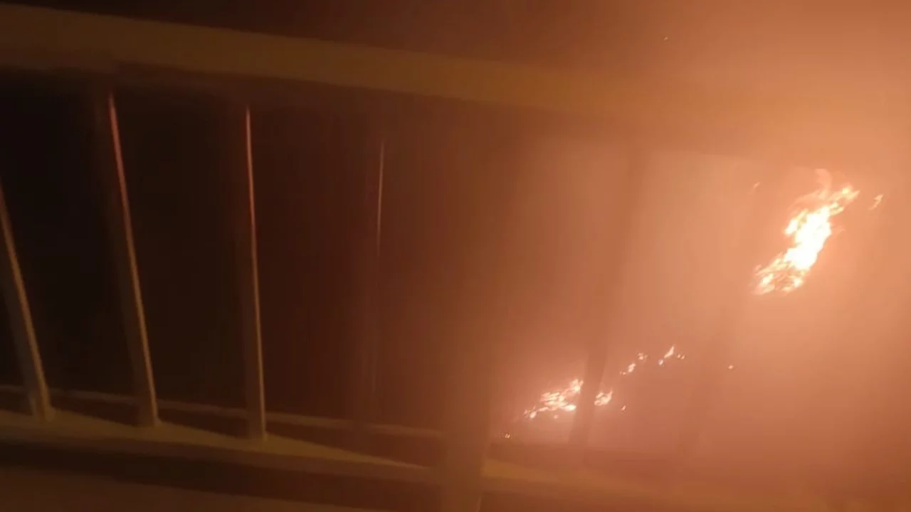 Bursa'da ormanlık alanda yangın paniği