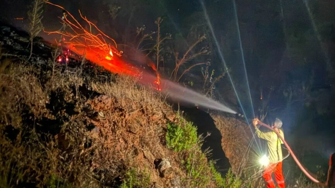 Antalya'nın Gazipaşa ilçesinde orman yangını