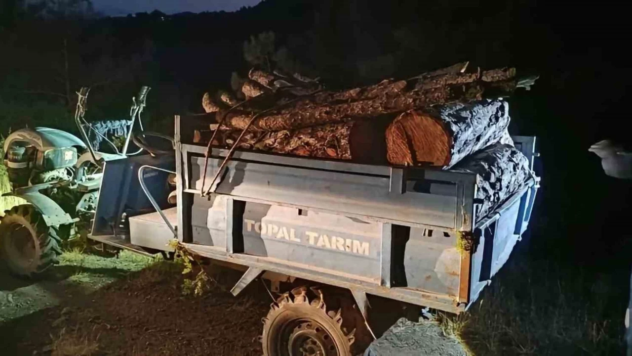 Hatay'da ormanda usulsüz kesim yapan şahıslar yakalandı