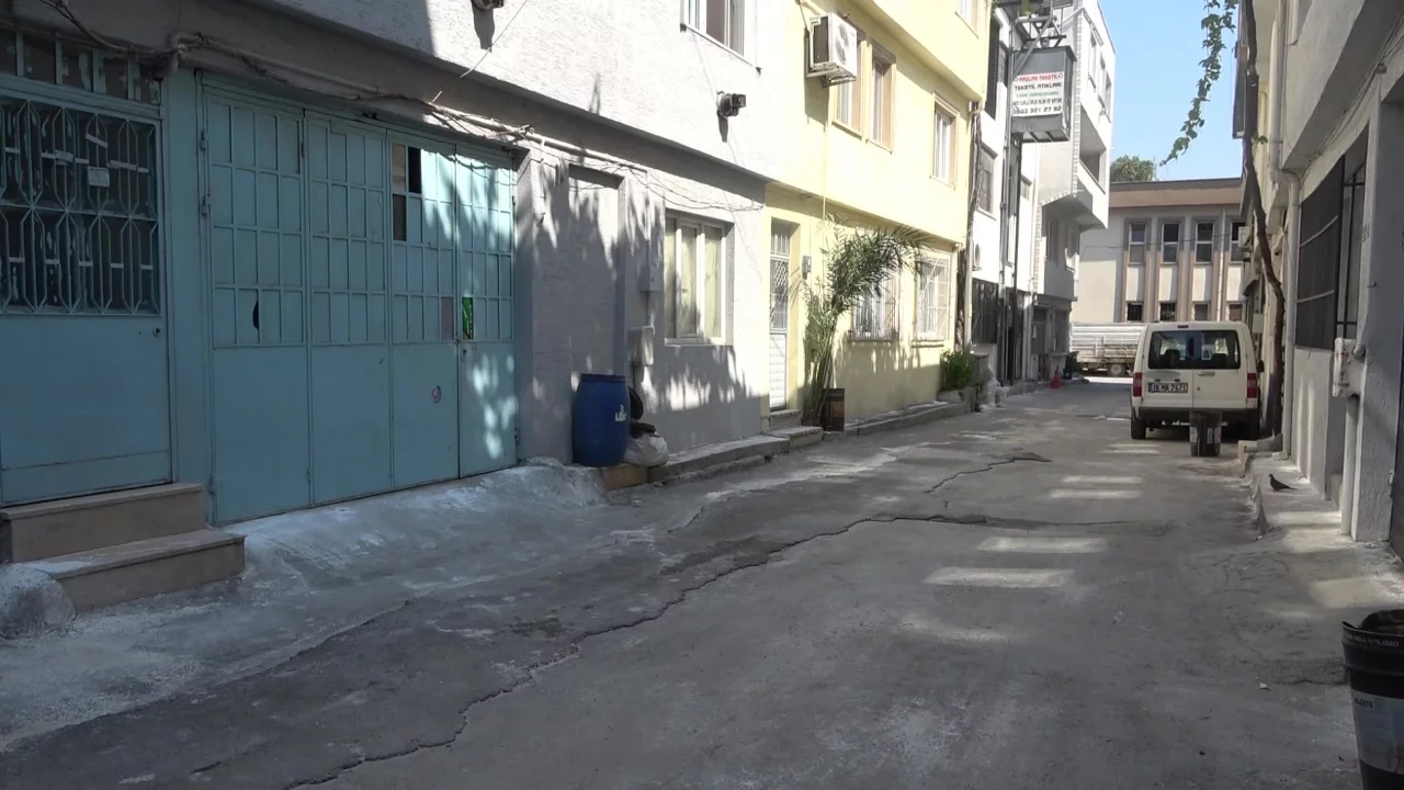 Bursa'da hayvanlara şiddet iddiası! Mahalleyi pireler bastı: "En az 300 şikayet var"