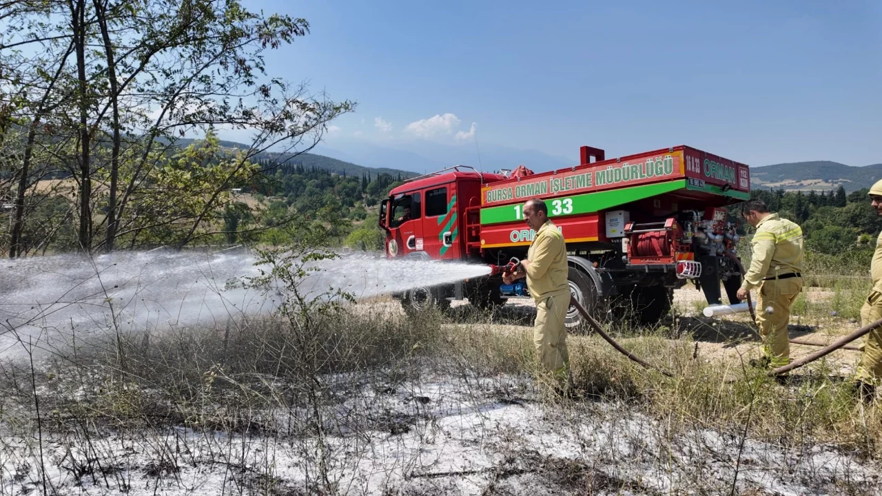 Bursa'da orman yangını büyümeden söndürüldü