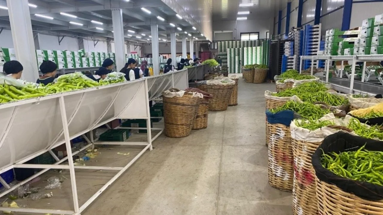 Avrupa sofralarının tercihi Bursa ürünleri