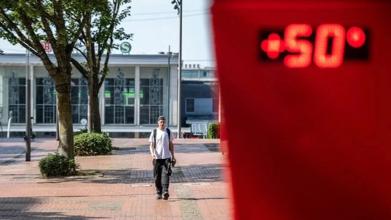 Almanya'da aşırı sıcaklara bağlı can kaybı 12 bin 500 civarına yükseldi