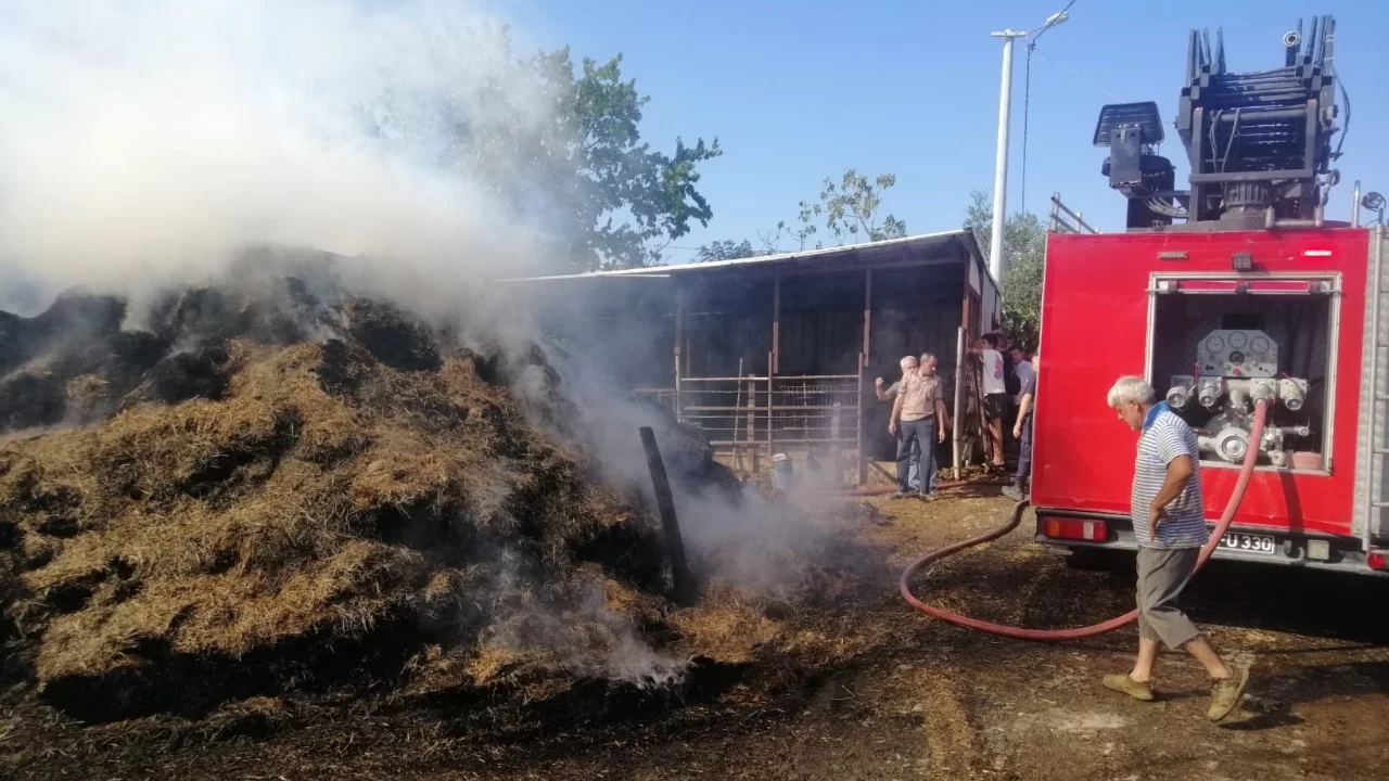Edirne'de 1,5 saat içerisinde çıkan 5 yangın söndürüldü