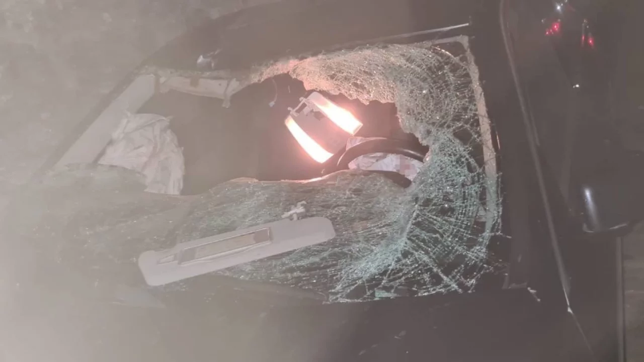 Yola çıkan ineğe çarpan araç takla attı: Yaralılar var