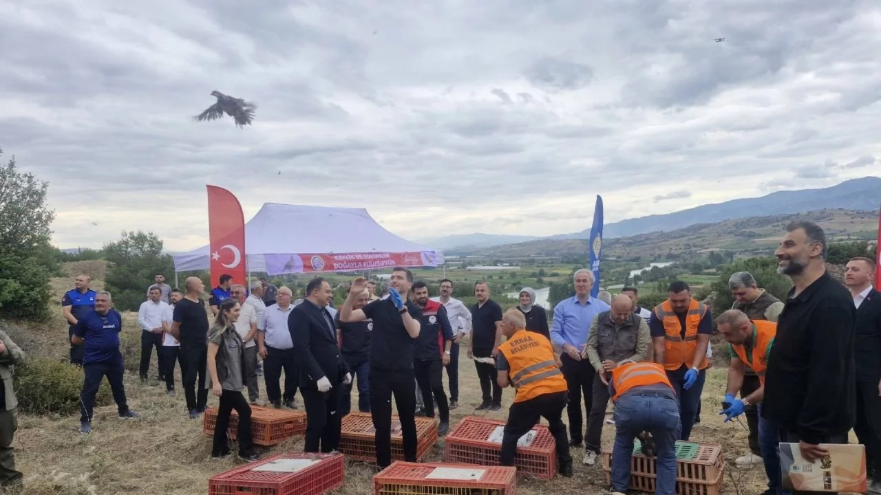 Tokat'ta kene vakalarına karşı 1500 keklik ve sülün doğaya salındı