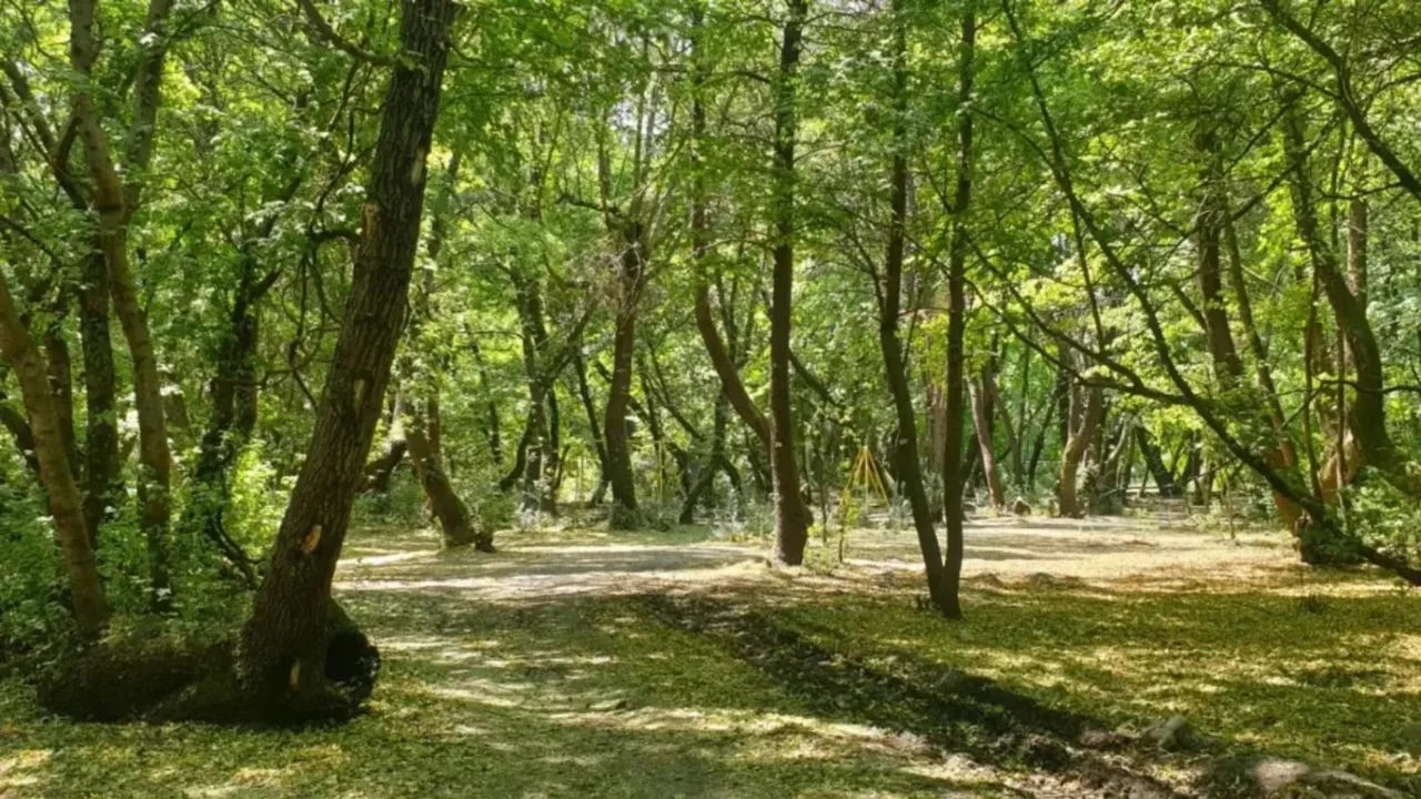 İstanbul'daki bazı koru ve ormanlar kuvvetli rüzgar sebebiyle ziyarete kapatıldı