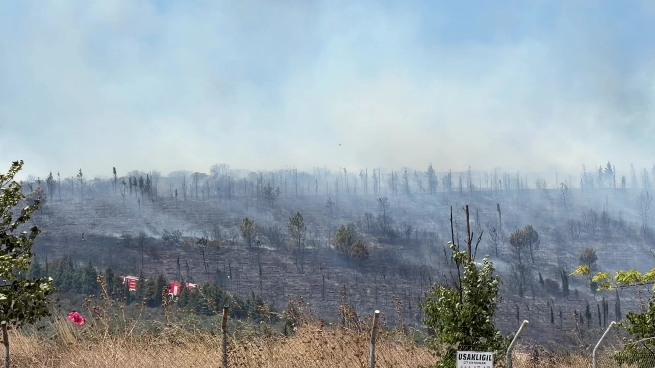 Kocaeli'de ormanlık alanda yangın