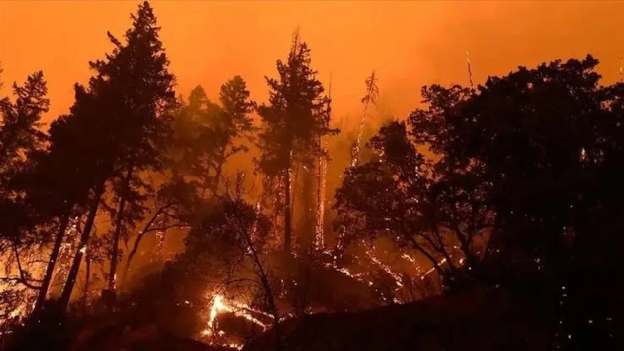 64 orman yangınıyla ilgili 11 şüpheli tutuklandı