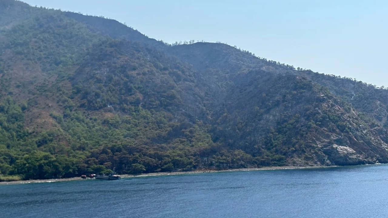 Marmaris'teki orman yangını kontrol altına alındı