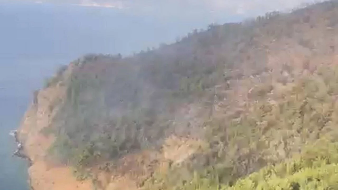 Muğla'daki orman yangını ikinci gününde!