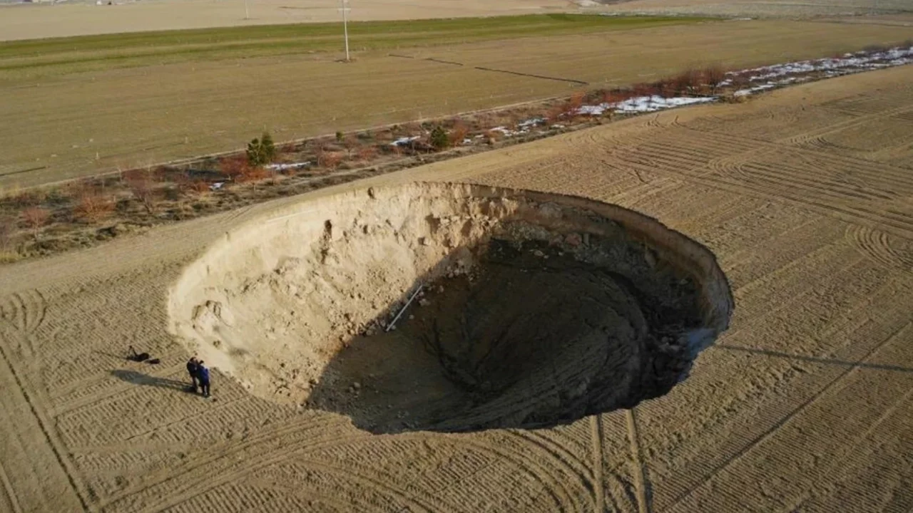 Konya Ovası'nda tehlike çanları çalıyor: Sayıları 740'ı aştı
