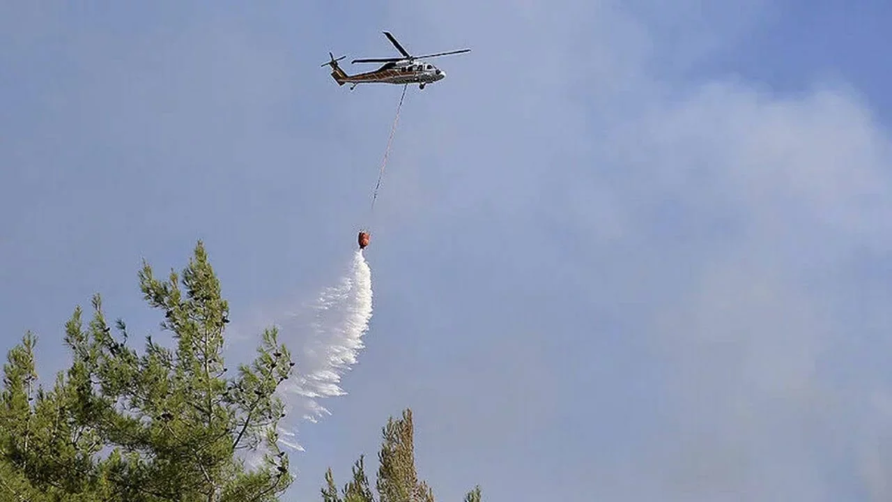 Fethiye'de orman yangını