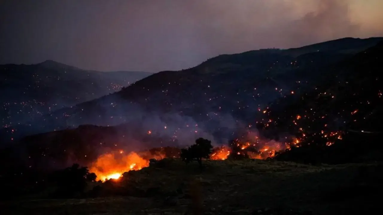 Yunanistan'da peş peşe orman yangınları