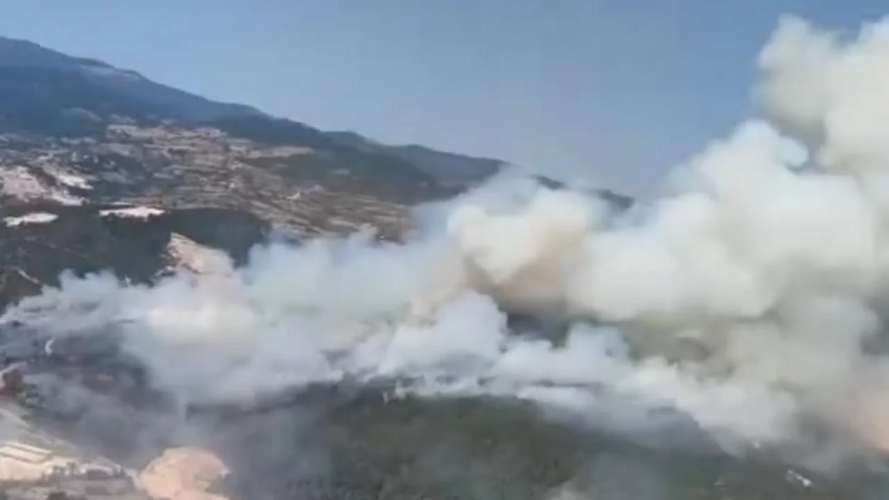 Balıkesir Sındırgı'da ormanlık alanda yangın