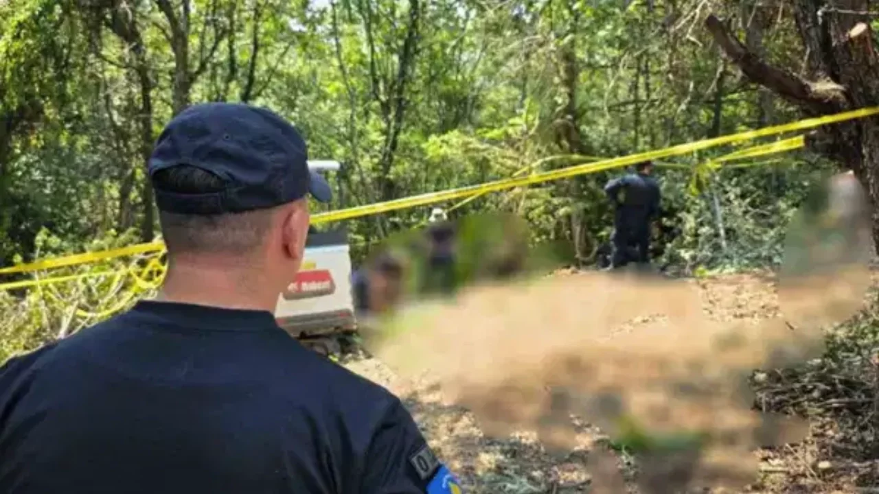 Savaş suçları soruşturması: 23 kişiye ait kemik kalıntıları bulundu