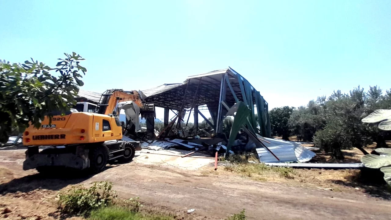 Osmangazi'de zeytinliğe yapılan kaçak depo yıkıldı