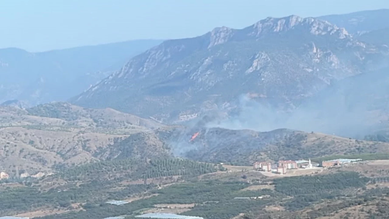 Bilecik'te orman yangını kontrol altına alındı
