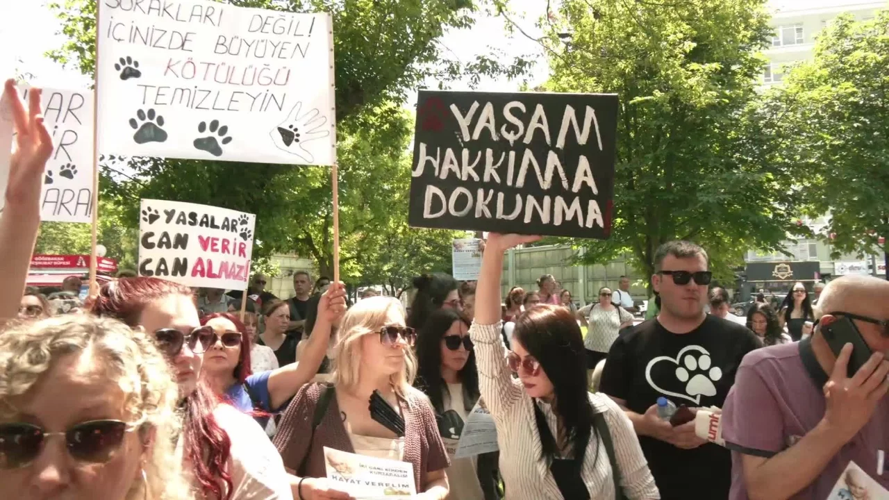 Kütahya'da kedi vahşeti: Başını ve ayaklarını kesip apartmanın önüne bıraktılar