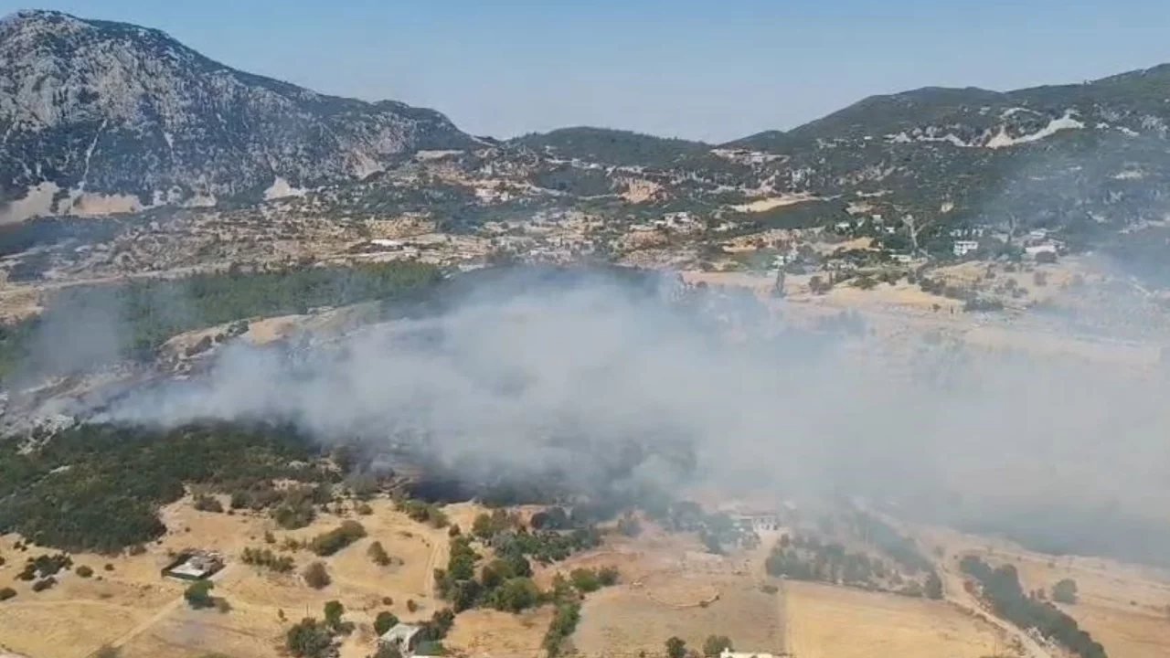 Kaş'ta ormanlık alanda yangın