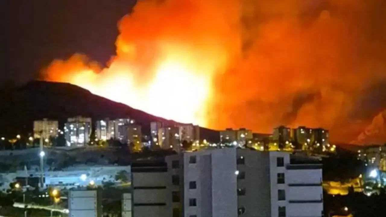 Ankara'da ağaçlık alanda yangın