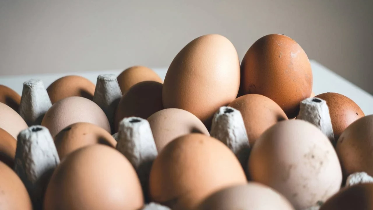 Salmonella alarmı: Yumurtalar acil olarak geri çağrıldı!