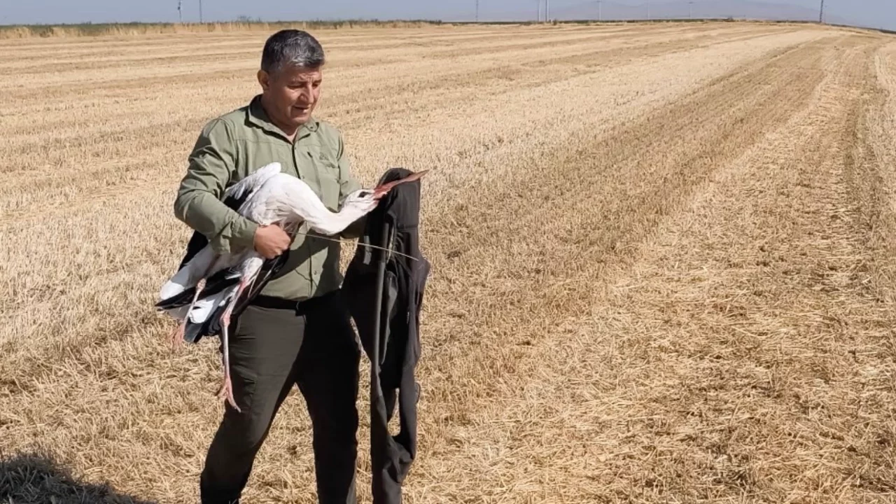 Elektrik akımına kapılan eşinin başından 5 gün ayrılmadı
