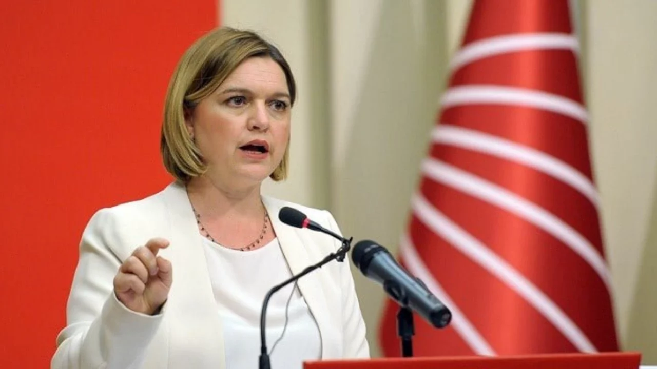 CHP'den kesin ihracı istenen isimler arasında bulunan Selin Sayek Böke'den 'Yeni Parti' paylaşımı