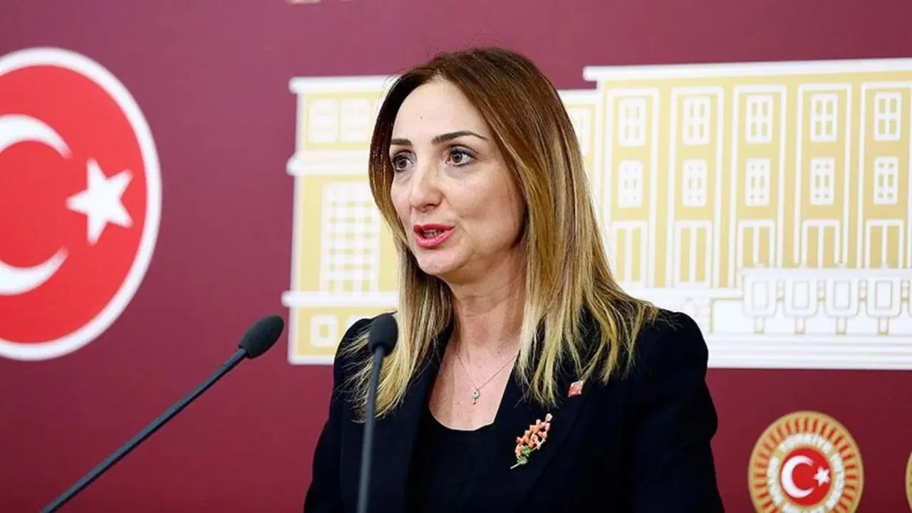 Butlan CHP'si ihracını istemişti... Aylin Nazlıaka'dan ilk açıklama