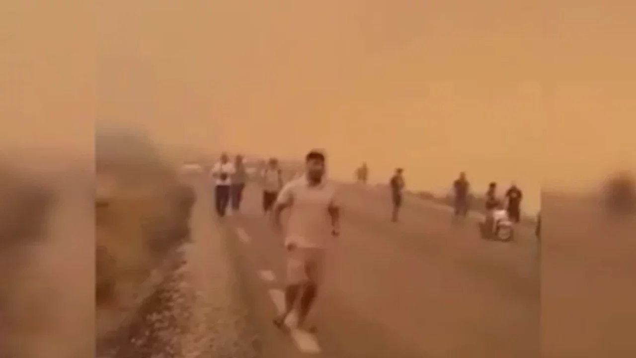 Cezayir'de orman yangınları: 12 ölü, 54 yaralı