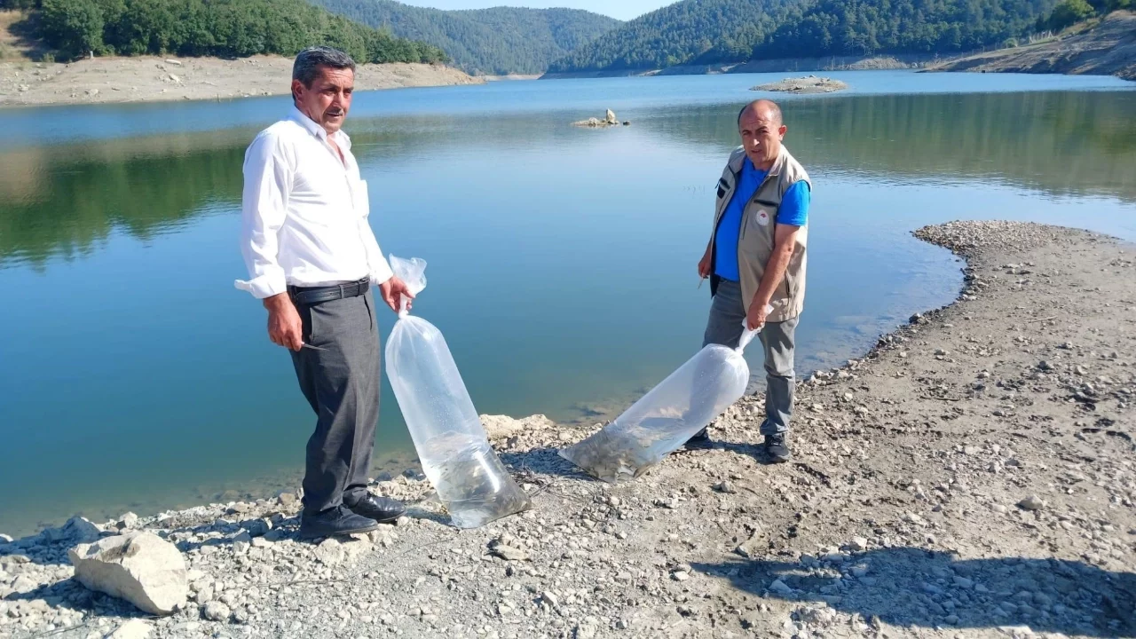 Bursa Orhaneli'de göletler sazan yavrularıyla buluştu
