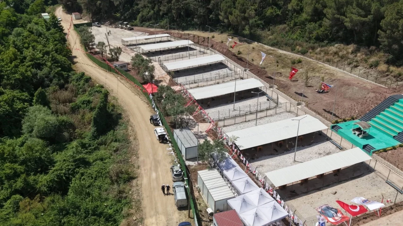Bursa'da hayvanseverlerden Gemlik Belediyesi'ne çağrı: "Kapıları açın"