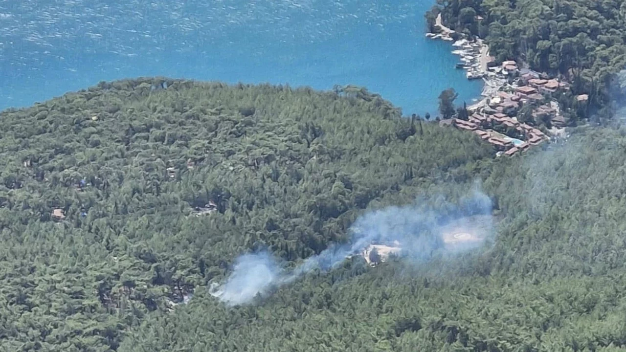 Muğla'da orman yangını