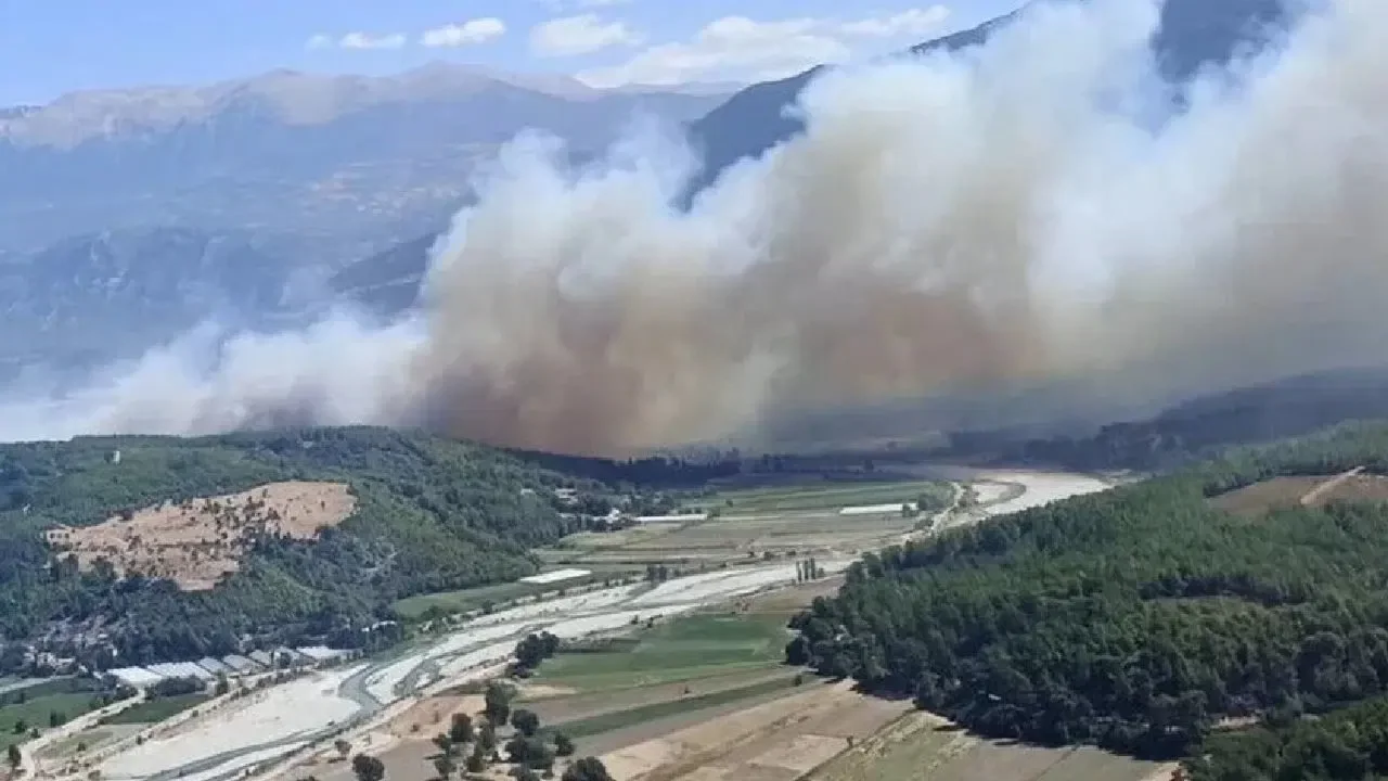 Örtü yangını ormana sıçradı: Müdahale ediliyor