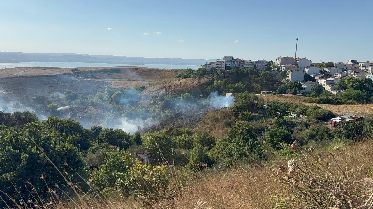 İstanbul'da korkutan tarla yangını: Dumanlar metrelerce yükseldi
