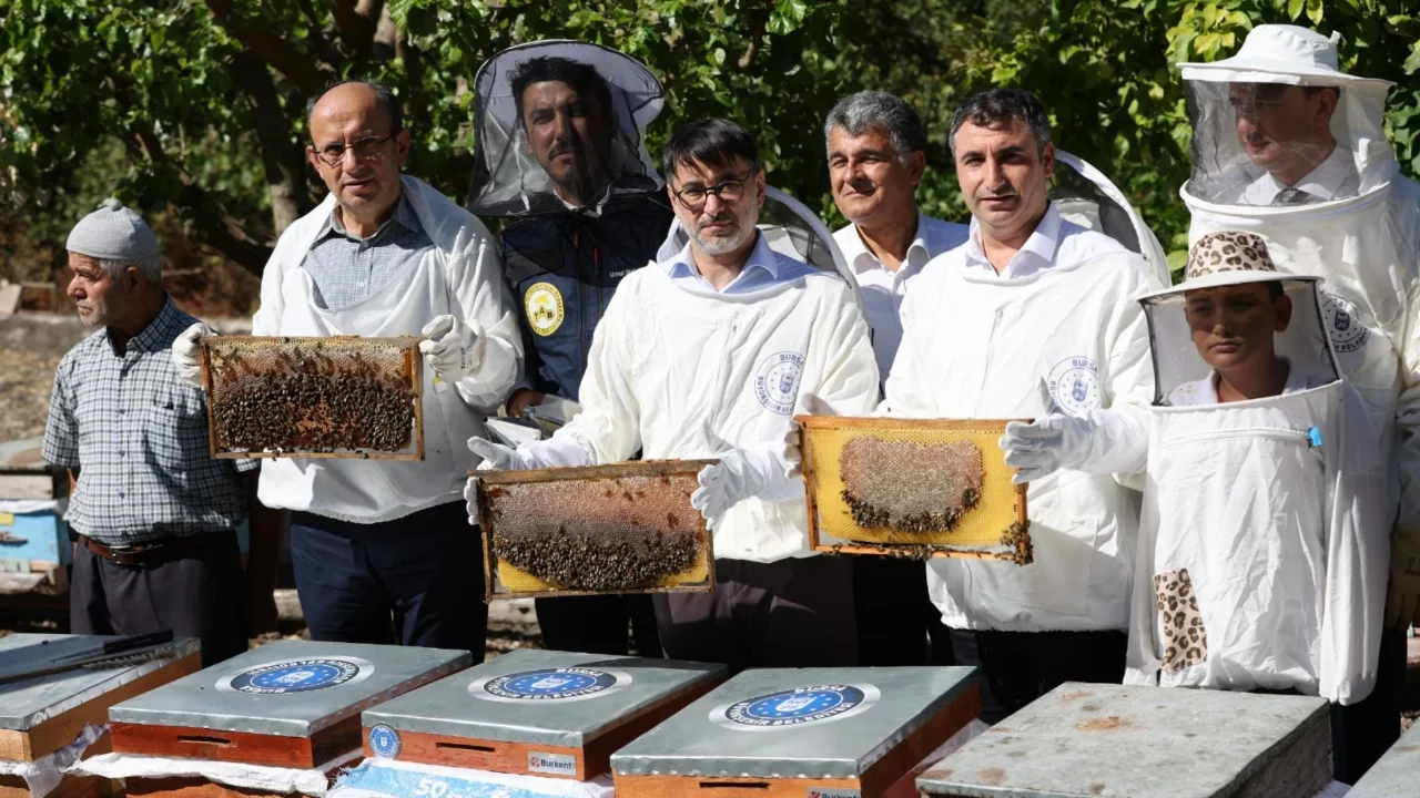 Bursa'da bal hasadı: Büyükşehir'den üreticilere 2 bin 560 kovan desteği