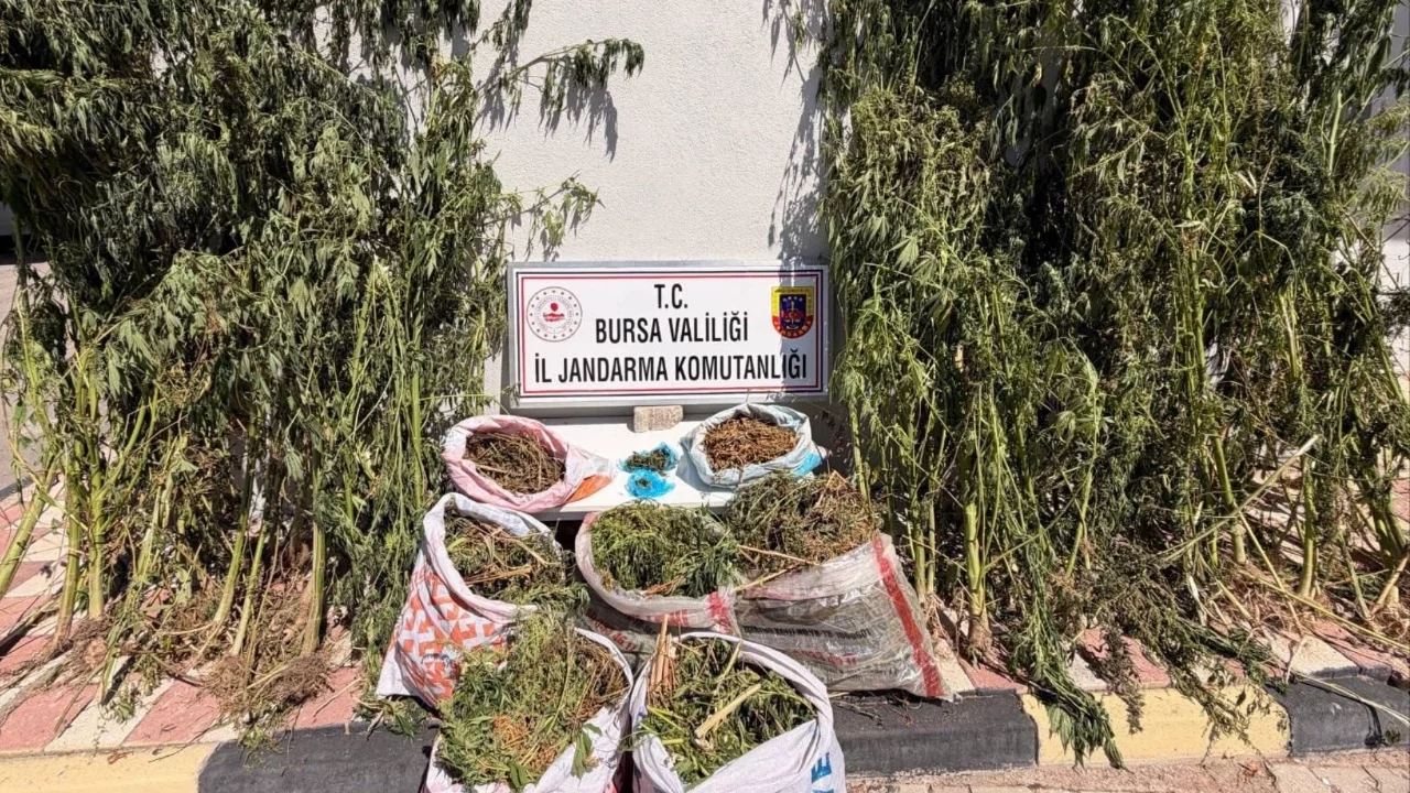 Bursa'da uyuşturucu operasyonu: 3 şüpheli yakalandı