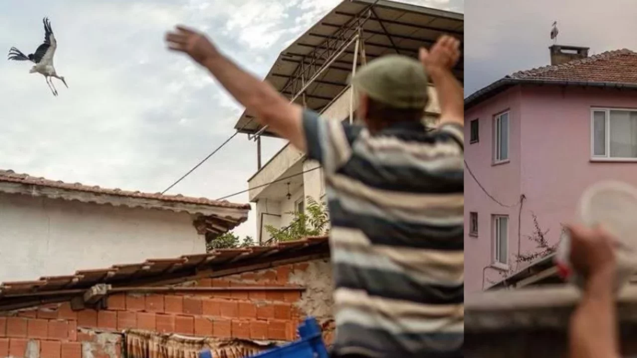 Alper Tüydeş'ten duygusal Yaren leylek paylaşımı