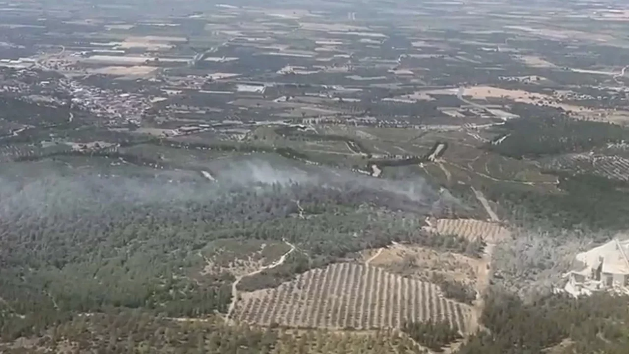 Manisa Soma'daki orman yangını kontrol altına alındı