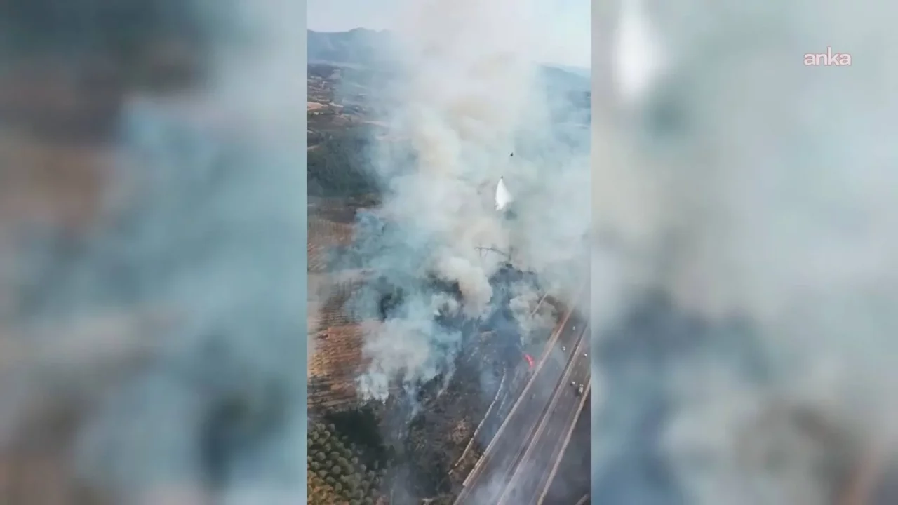 Manisa'nın Soma ilçesinde orman yangını: Otoyol trafiğe kapatıldı