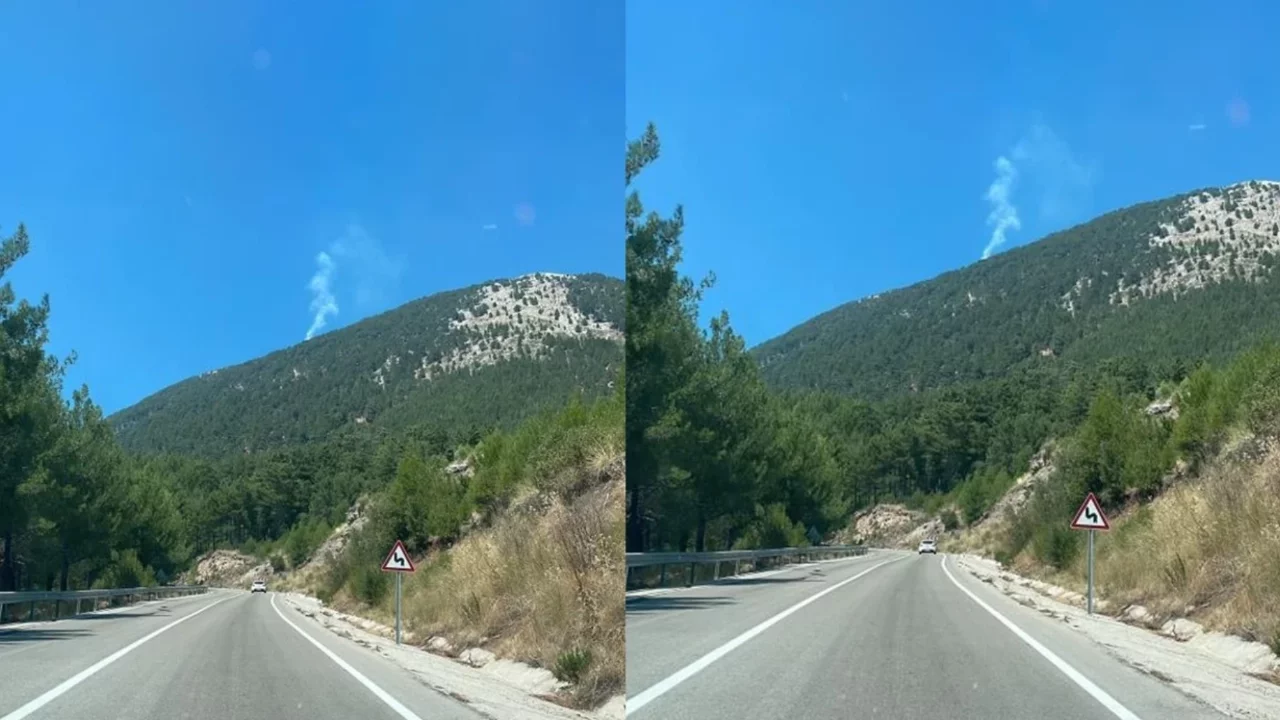 Muğla'da orman yangını