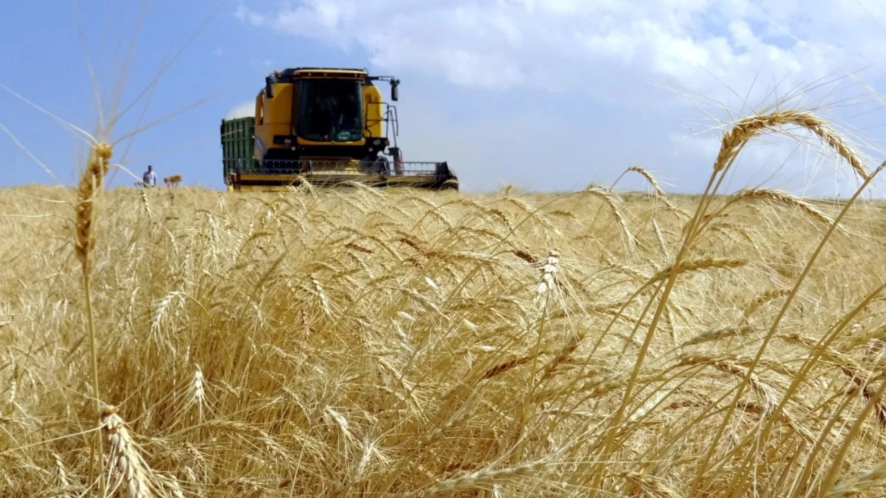 Tarım üretici ve yatırımcılara 845 milyon lira ödendi