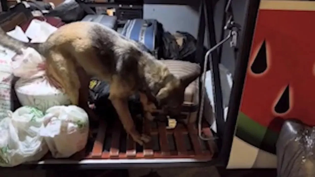 Polisler yolcu otobüsünü bastı: 3 kilo 420 gram uyuşturucuyla yakalanan 2 şahıs tutuklandı
