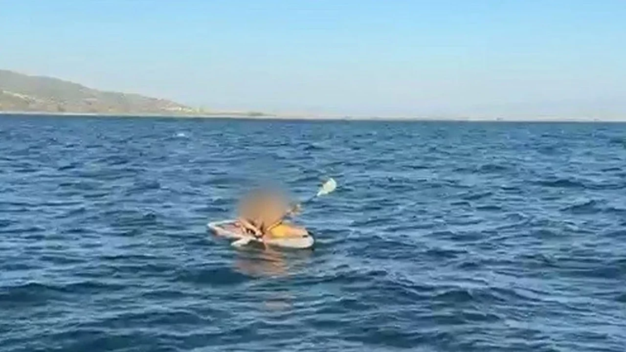 Kürek sörfü yapan 2 kişi dehşeti yaşadı